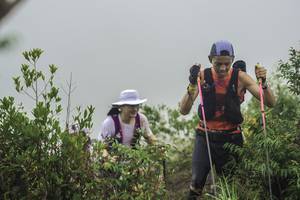 BIB: 
                            <button type="button" onclick="openModal(24737056)" class="btn btn-primary btn-sm float-right btn-popup" data-toggle="modal" data-target=".modal-high-quality">
                        <i class="fas fa-shopping-cart"></i> Add to Cart
                    </button>
                                            <button type="button" onclick="isThisMe(24737056, true)" class="btn btn-success btn-sm float-right btn-popup btn-isme hidden" data-toggle="tooltip" data-placement="bottom" title="นี่คือรูปของคุณใช่ไหม คลิกที่นี่เพื่อเอาเข้าอัลบั้ม">
                        <i class="fas fa-plus"></i> Add to album
                    </button>
                    <button type="button" onclick="isThisMe(24737056, false)" class="btn btn-warning btn-sm float-right btn-popup btn-isnotme hidden">
                        <i class="fas fa-ban"></i> Remove from album
                    </button>